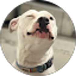 Profile photo of Ellen Martinez