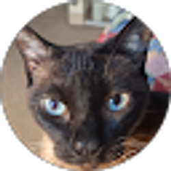 Profile photo of michael benson