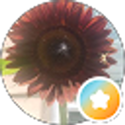 Profile photo of M R