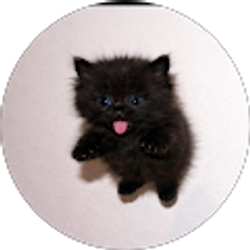 Profile photo of It Me!!!!