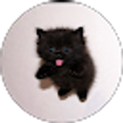 Profile photo of It Me!!!!