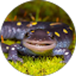 Profile photo of Chris Bigelow