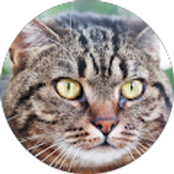 Profile photo of Beth Schmidt