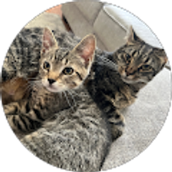 Profile photo of Brooke Scull