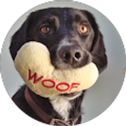 Profile photo of Robert Buderman