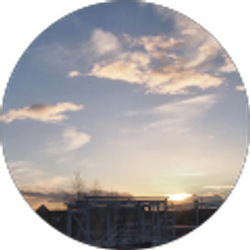 Profile photo of Zhan LI