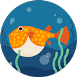 Profile photo of karen c