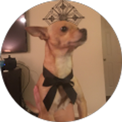 Profile photo of Helios Mayer