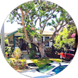 Profile photo of Pauline Mitchell