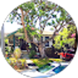 Profile photo of Pauline Mitchell