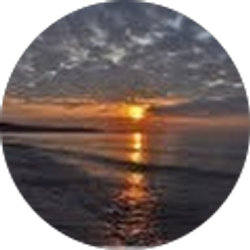 Profile photo of vershawnda staton