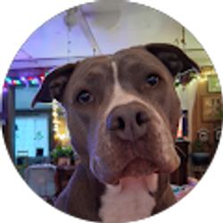 Profile photo of Jennette Plotts