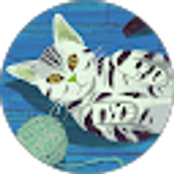 Profile photo of K Color