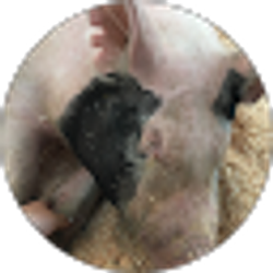 Profile photo of Christina