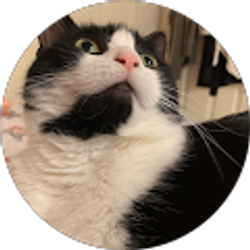 Profile photo of TinyCherub