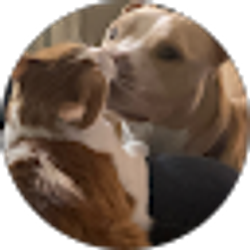 Profile photo of GRP