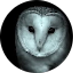 Profile photo of Bridget
