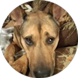 Profile photo of Alexandria B