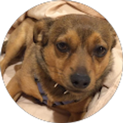 Profile photo of Kevin Kerstetter