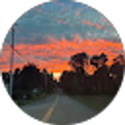 Profile photo of Austin Sallinen