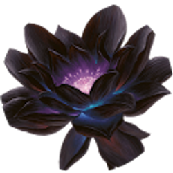 Profile photo of Kimberly Lucenti