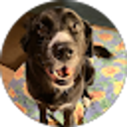 Profile photo of Rya Chasmar