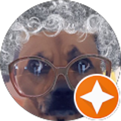 Profile photo of L D