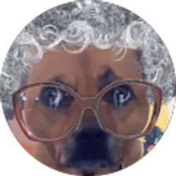 Profile photo of L D