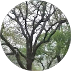 Profile photo of Christine Graham