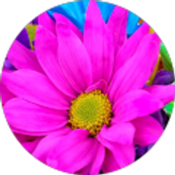 Profile photo of Queen Queen