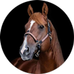 Profile photo of Tim Fair