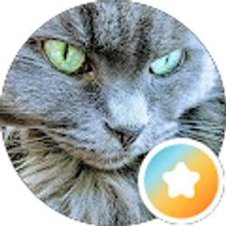 Profile photo of Jana “Jzcatlady” Zipf Rosa