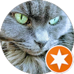 Profile photo of Jana “Jzcatlady” Zipf Rosa