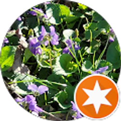 Profile photo of Pam Chase