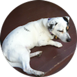 Profile photo of Jay & Kirsten McKillop