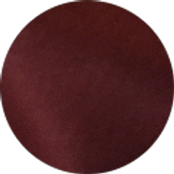 Profile photo of Paula Bruce