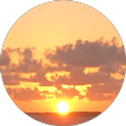 Profile photo of chacha snapper