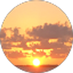 Profile photo of chacha snapper