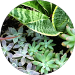 Profile photo of Gina