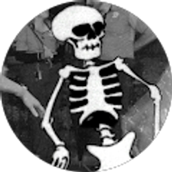 Profile photo of Steve Schafer