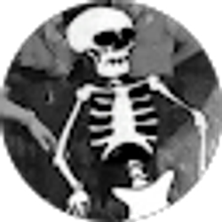 Profile photo of Steve Schafer