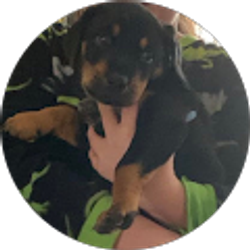 Profile photo of Jenny Hartley