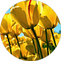 Profile photo of Leticia Orozco