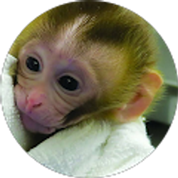 Profile photo of L B