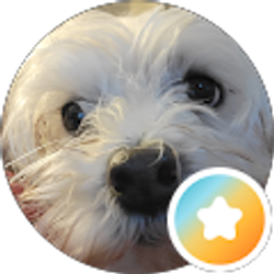 Profile photo of Anthony Randazzo