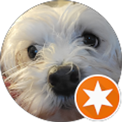 Profile photo of Anthony Randazzo