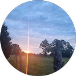 Profile photo of Marla McCain