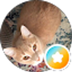 Profile photo of Heather K