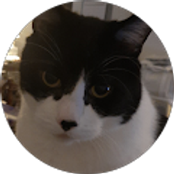 Profile photo of Bubba Boo