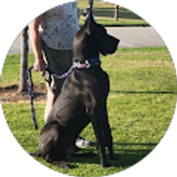 Profile photo of Marilyn Wilson